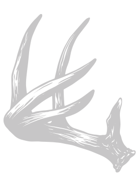 Left Antler